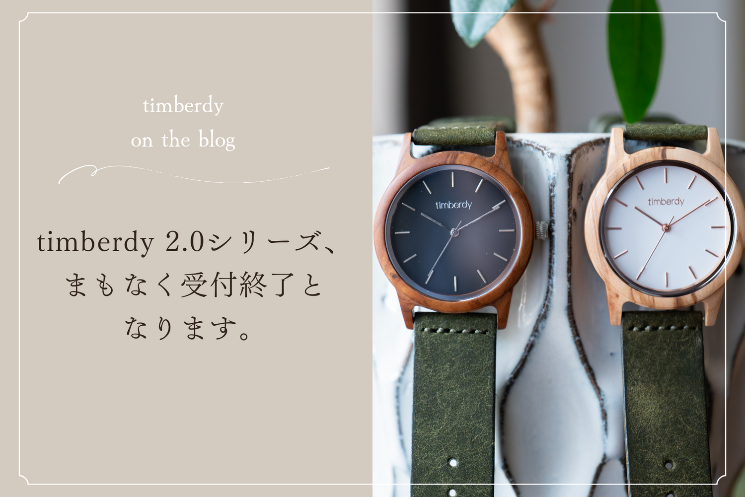 ほし　timberdy オリーブの木　育てる時計38mm✖️2 オリーブの木で作る木製腕時計の通販なら専門店のtimberdy